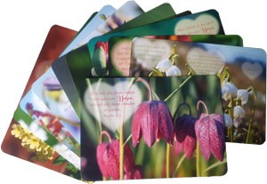 Postkarten-Set - Herz